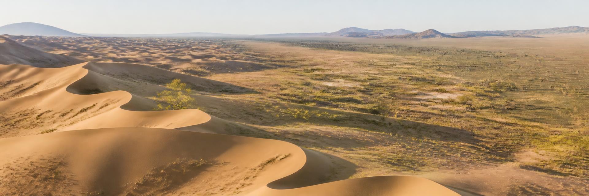 Aerial view of a desert landscape